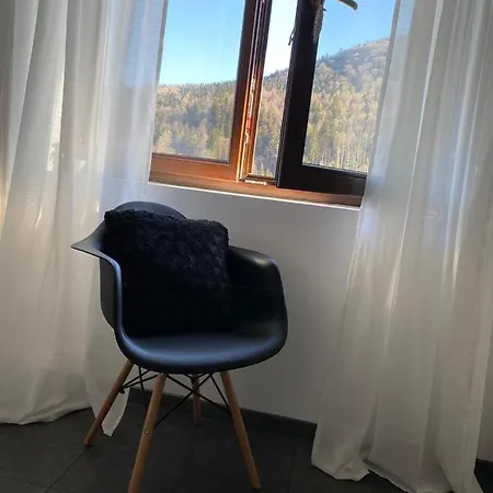 Apartment Ava