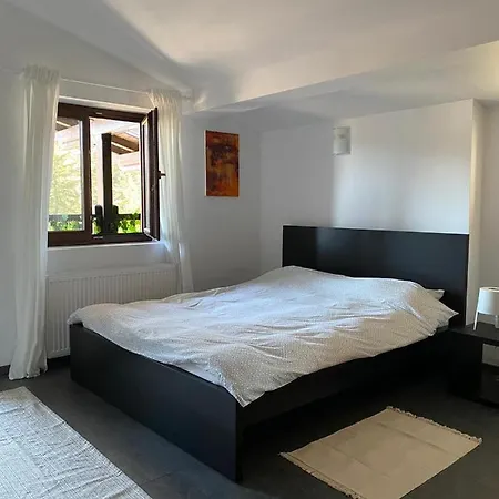 Ava Apartment Sinaia